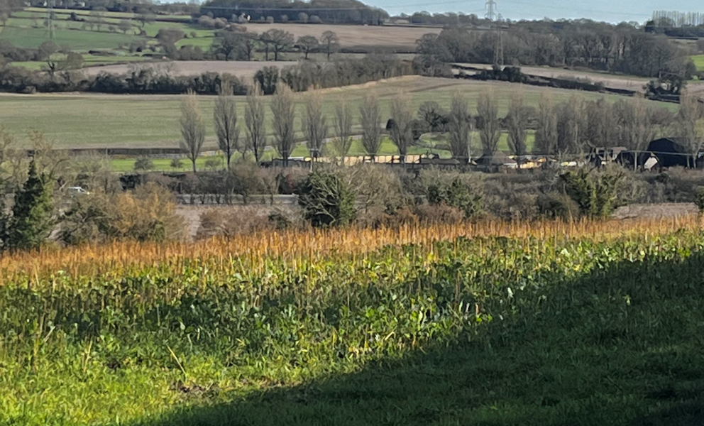 Alton countryside