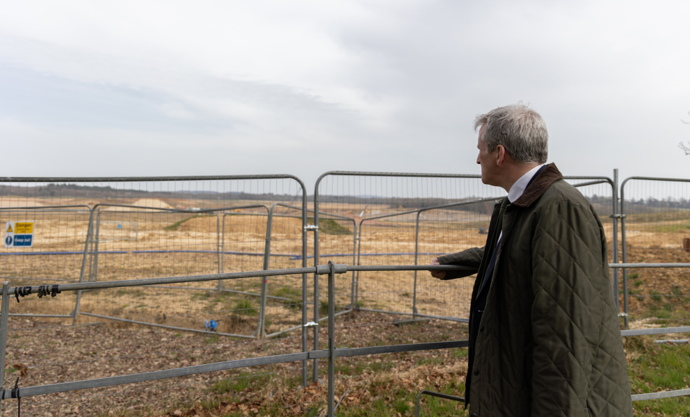 DH at Havant Thicket