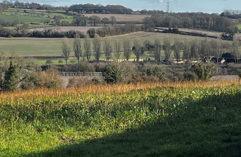 Alton countryside