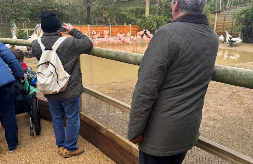 Damian and the flamingos