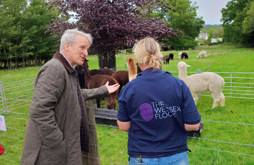 wessex flock