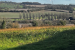 Alton countryside