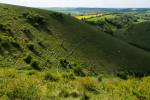 South Downs National Park