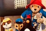 teddies in parliament