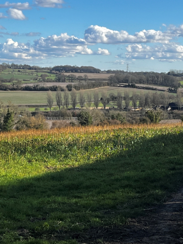 Alton countryside